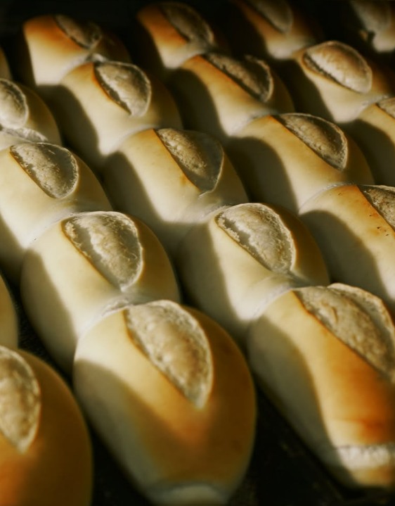 Pãezinhos dourados, alinhados em uma assadeira